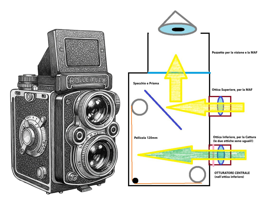 Schema di funzionamento di una Rolleiflex, e, in generale, di una TLR