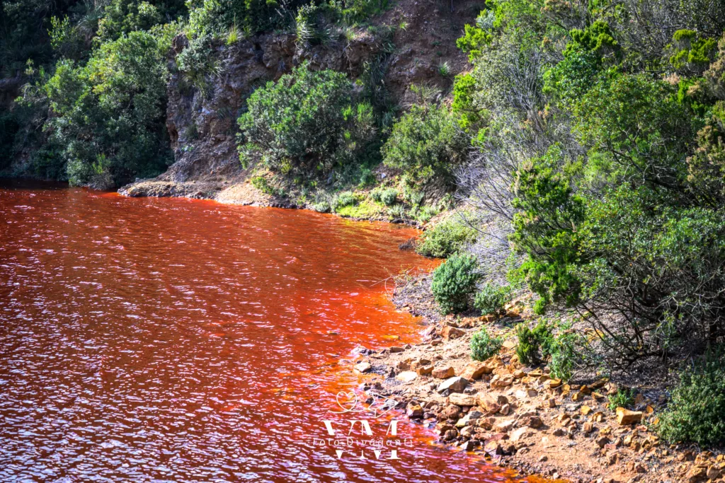Corso d'acqua rossa che scorre lungo una riva rocciosa con vegetazione verde.