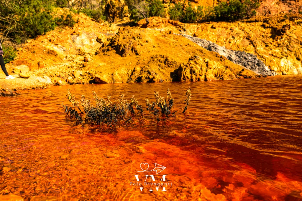 Acqua rossa con vegetazione secca emergente e rocce giallo-arancioni sullo sfondo